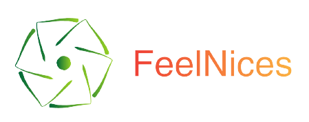 Feelnices logo
